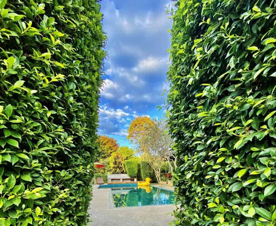 Family House Zen Boutique Resort9