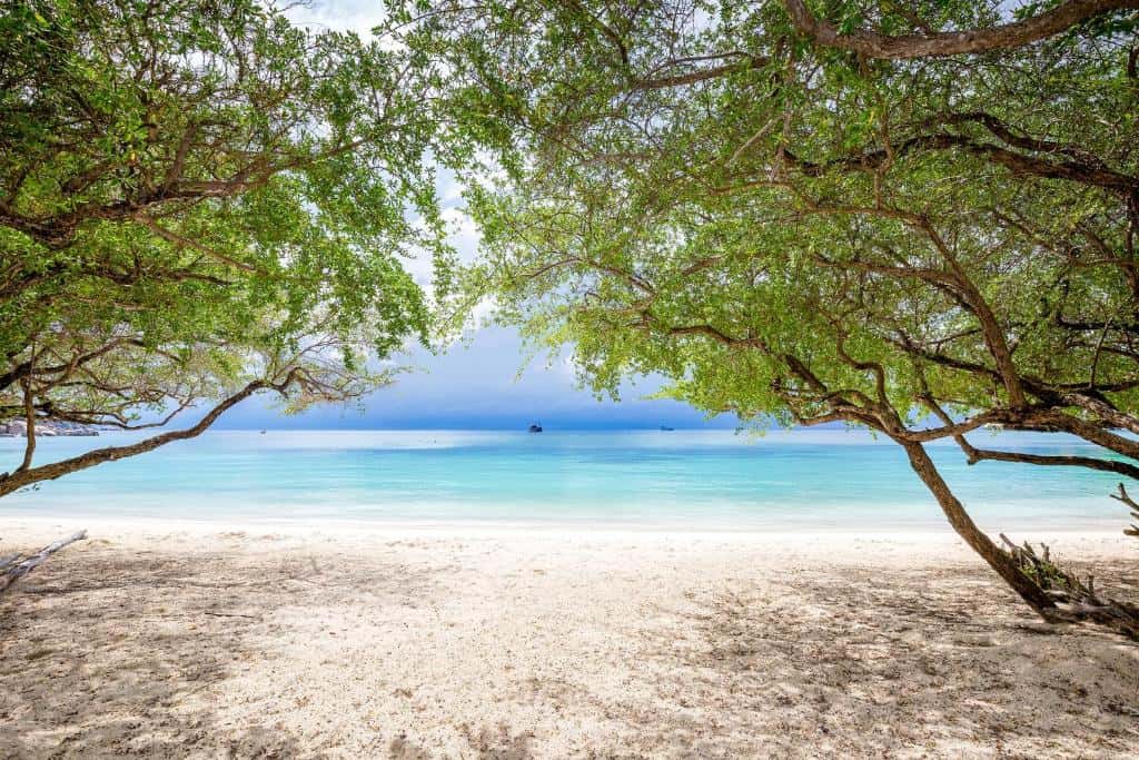 Beach Club by Haadtien8