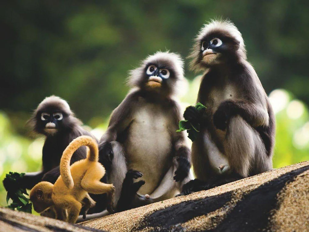 Rayavadee Railay Krabi30