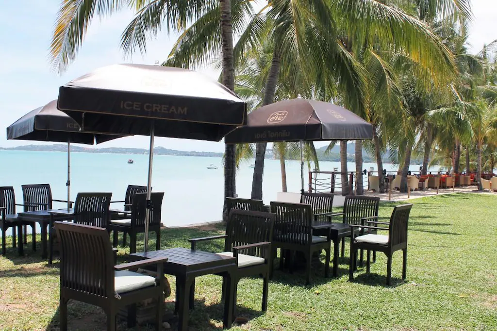 Celes Samui14