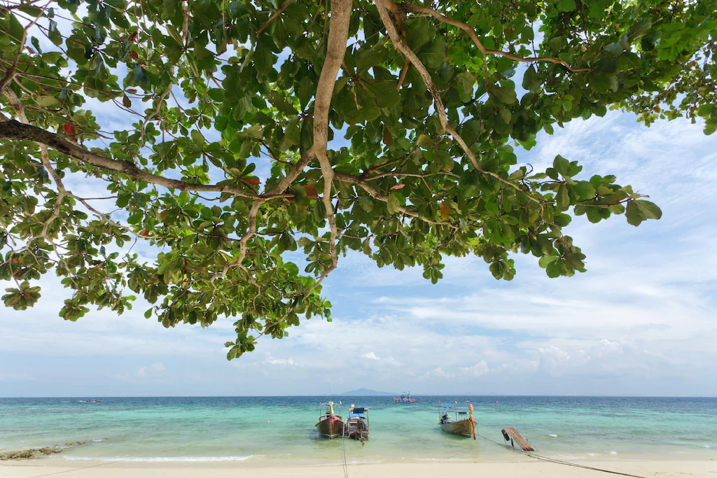Phi Phi CoCo Beach Resort39