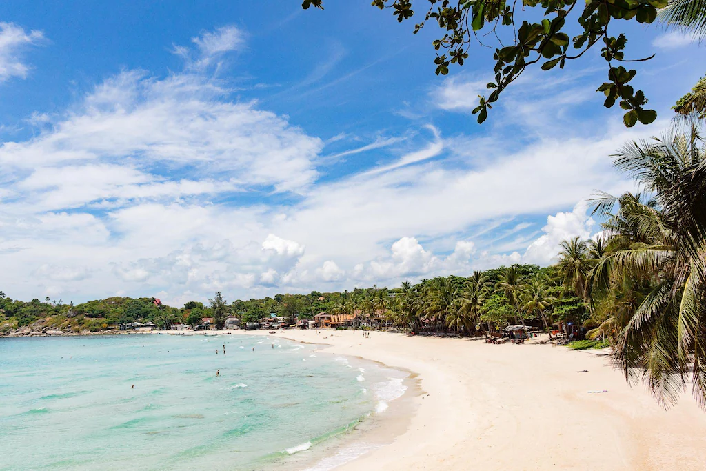 Cocohut Beach Resort3