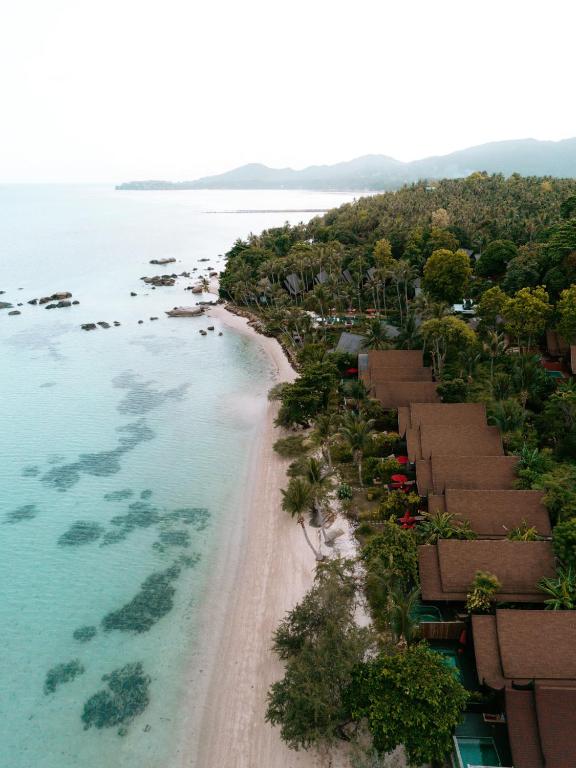 Kupu Kupu Phangan1