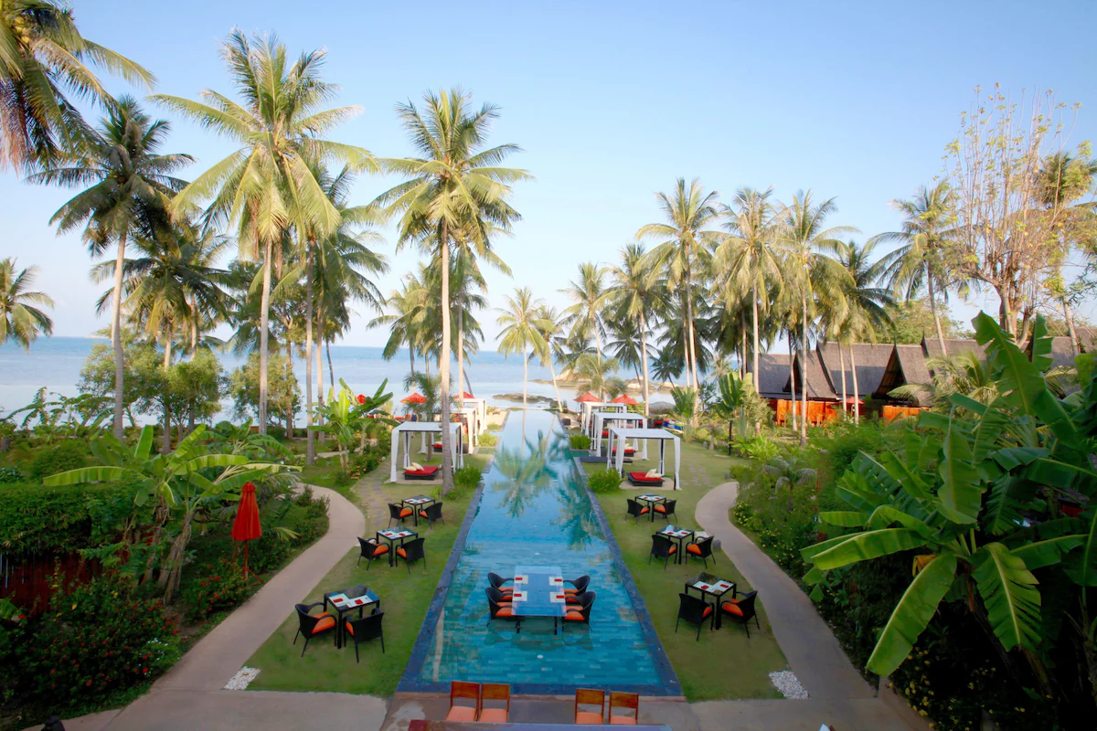 Kupu Kupu Phangan2