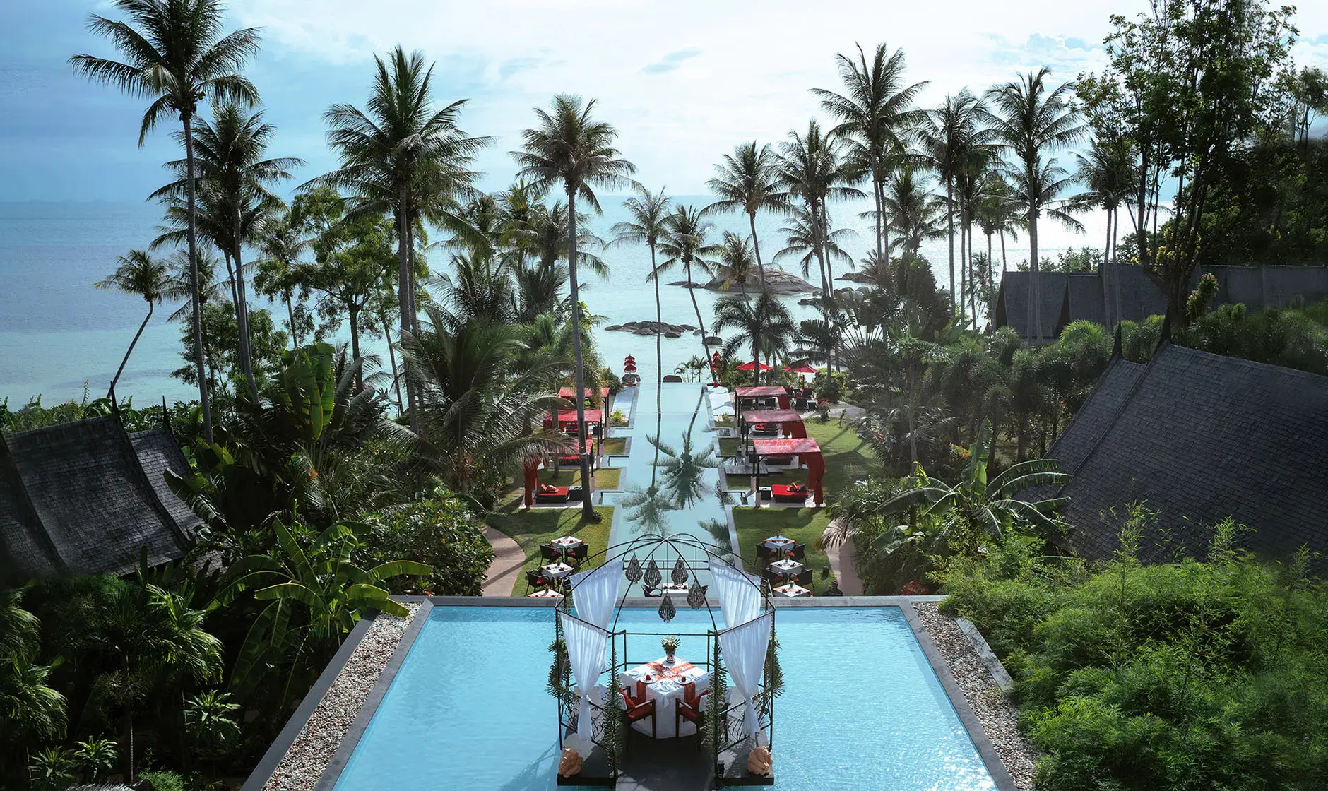 Kupu Kupu Phangan25