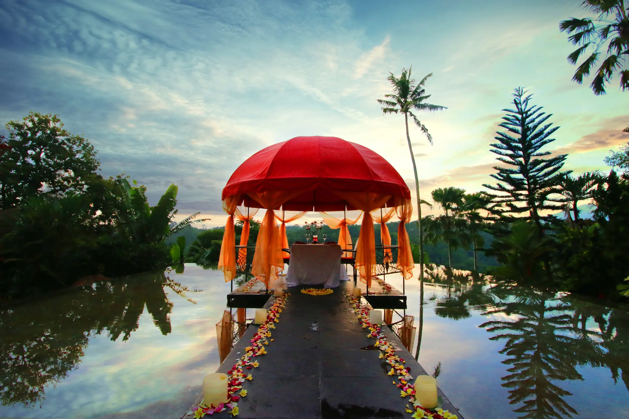 Kupu Kupu Phangan27
