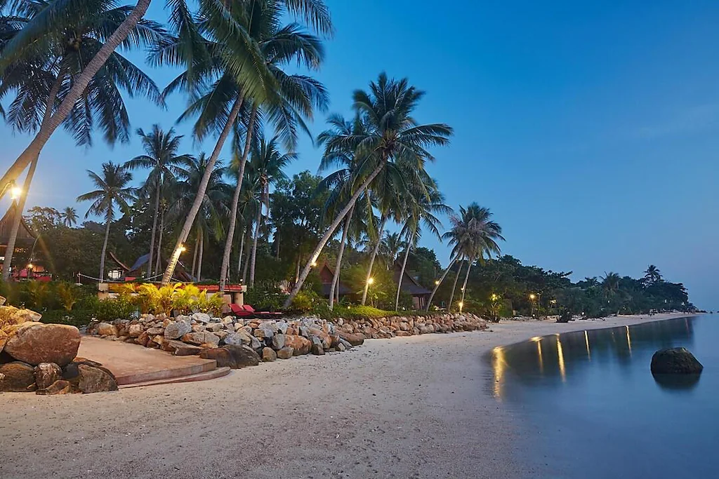 Kupu Kupu Phangan4