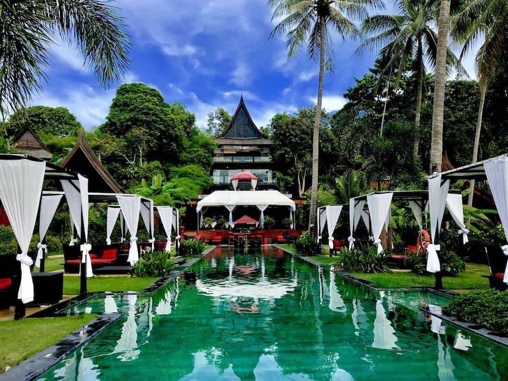 Kupu Kupu Phangan5