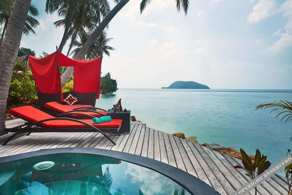 Kupu Kupu Phangan6