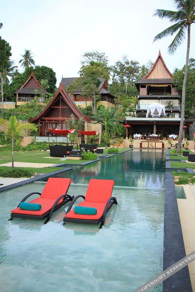 Kupu Kupu Phangan7