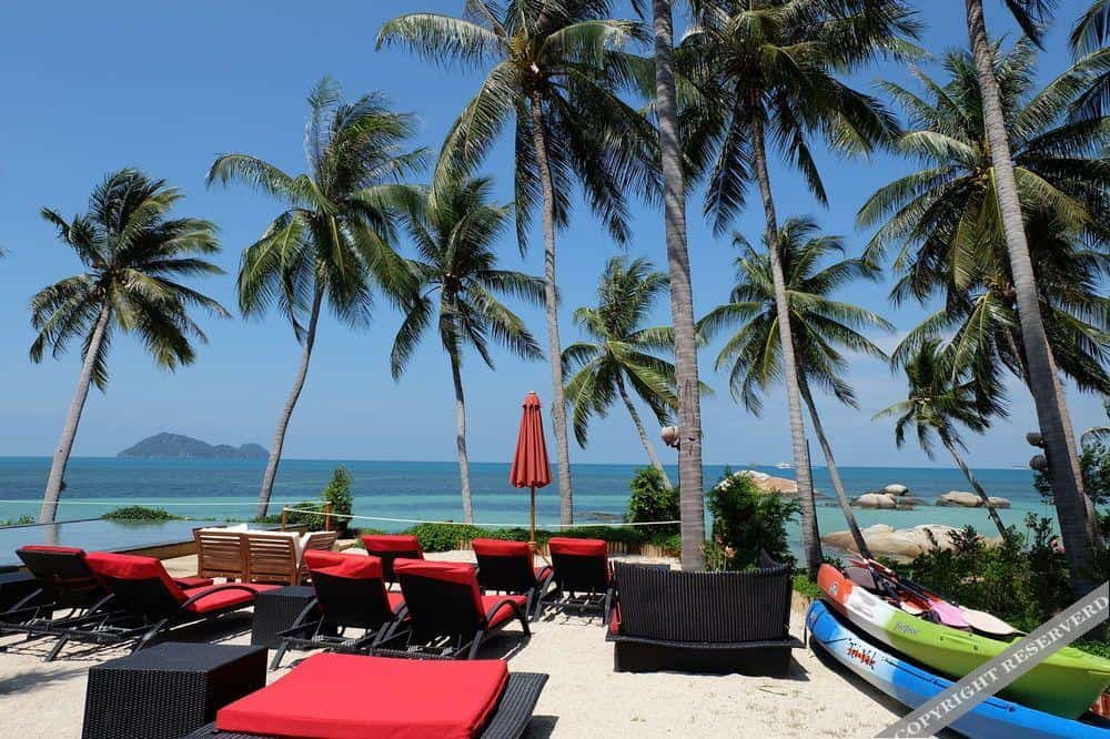 Kupu Kupu Phangan8