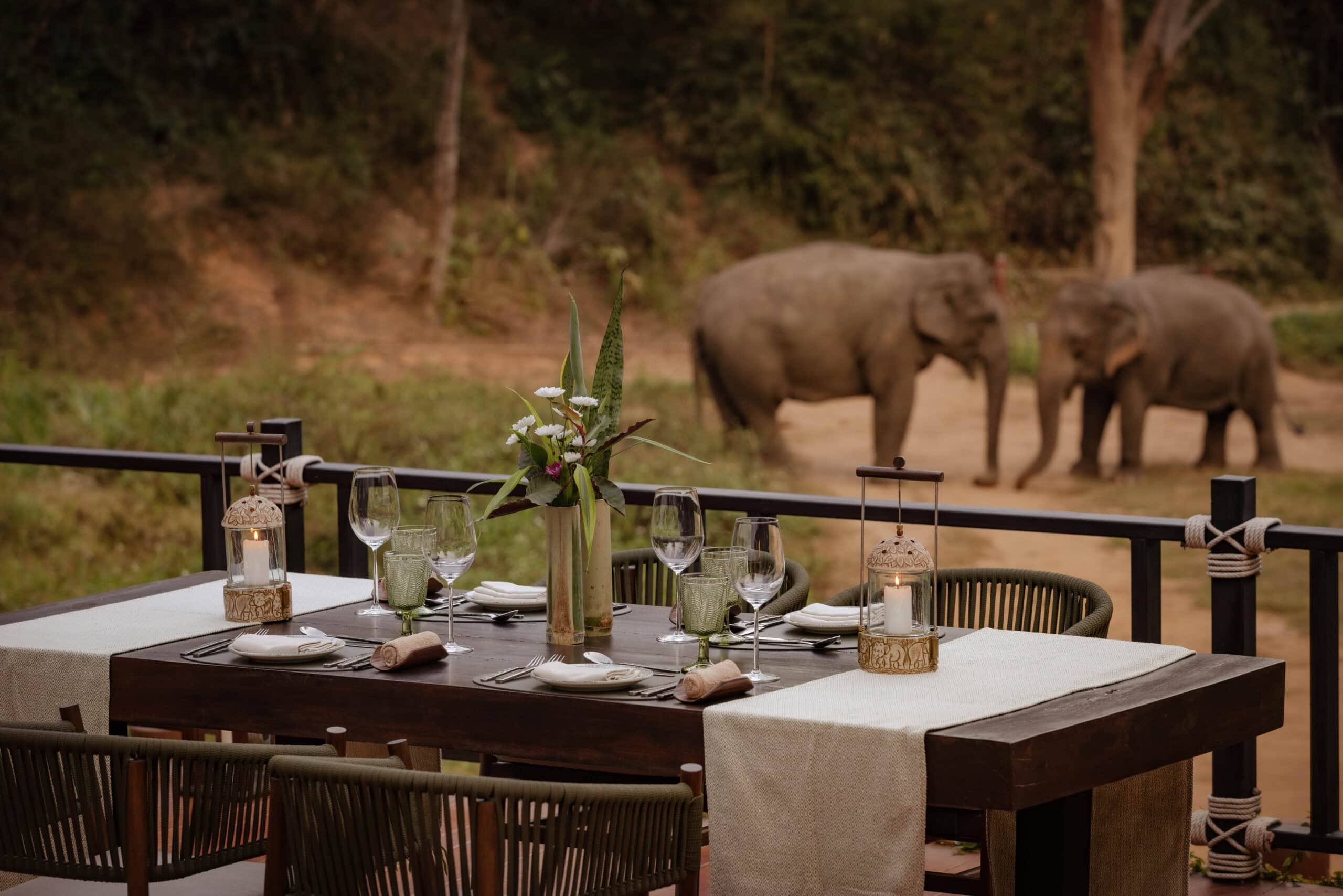 31-Anantara_Golden_Triangle_Jungle_Bubble_Lodge_Terrace_8423-4