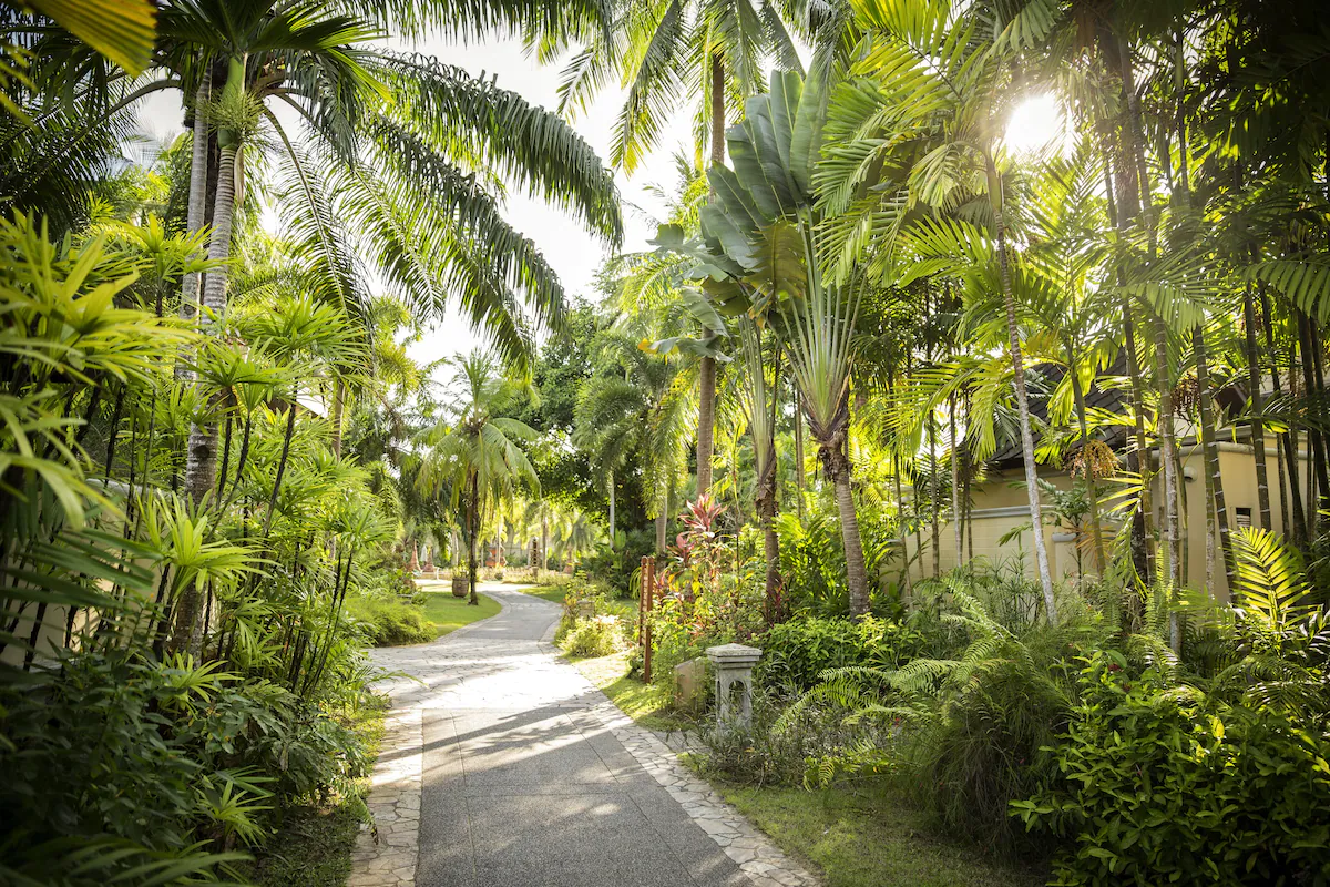 ROBINSON Khao Lak13