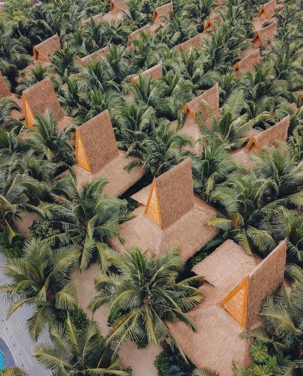 Phi Phi CoCo Beach Resort13