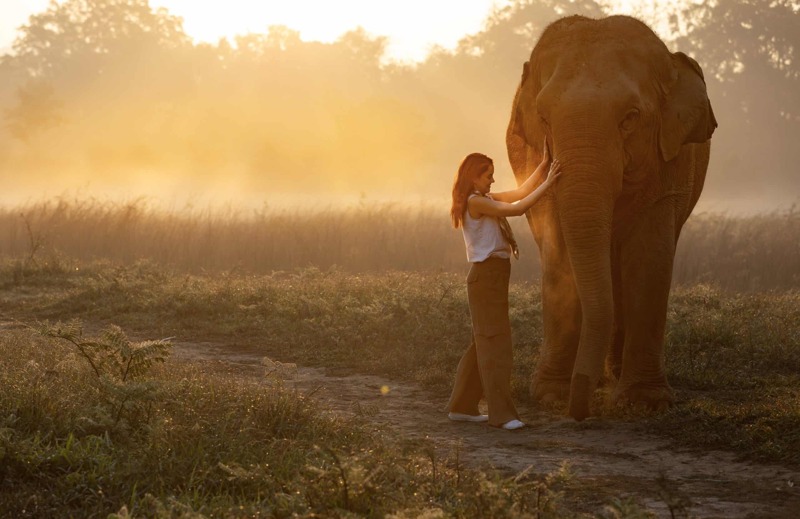 23-Anantara_Golden_Triangle_Walking_With_Giants_3407-Enhanced-NR