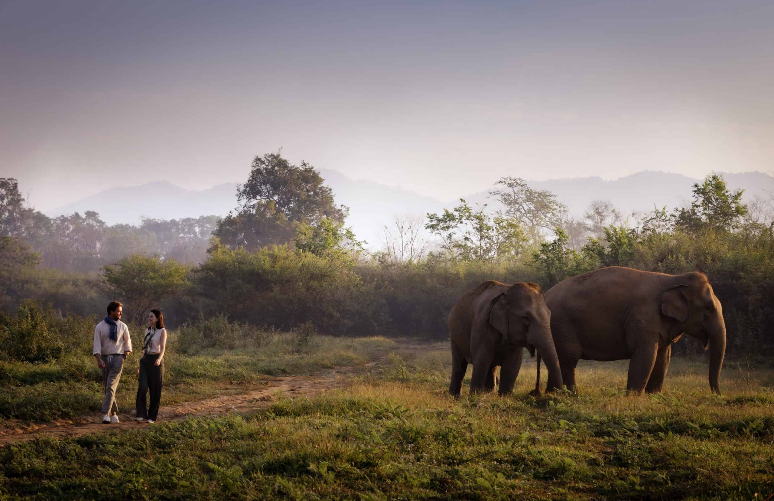 31-Anantara_Golden_Triangle_Walking_With_Giants_3686