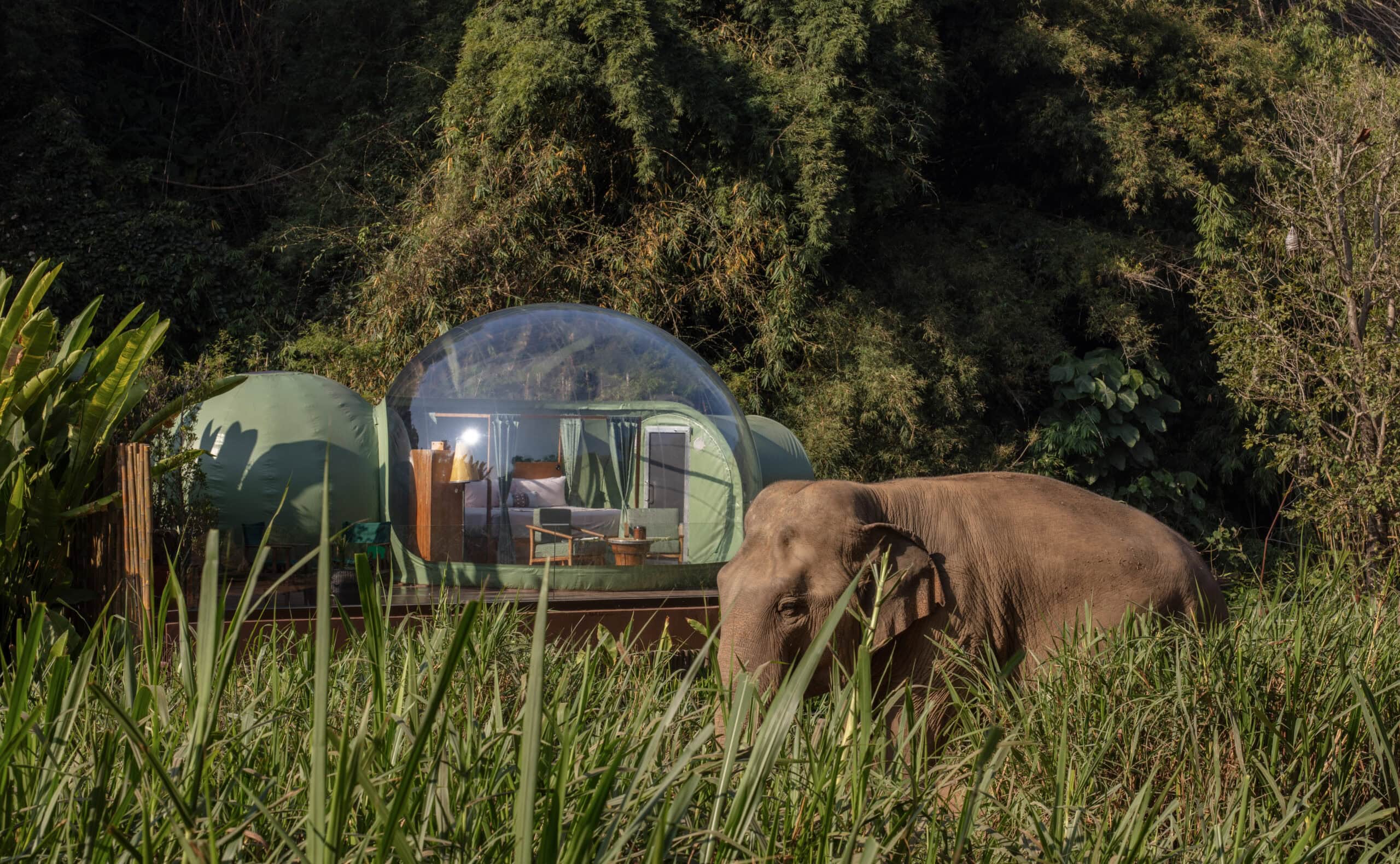 39-Anantara_Golden_Triangle_Jungle_Bubble_8562-4