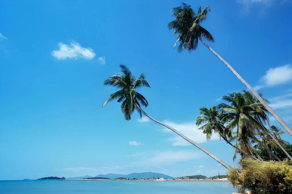 Bandara Resort and Spa, Samui6