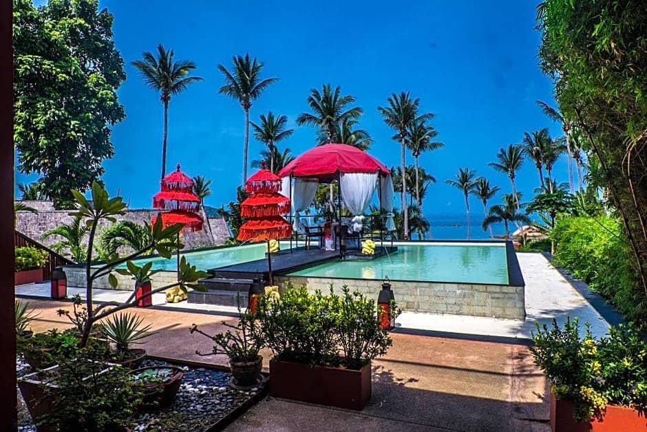 Kupu Kupu Phangan12