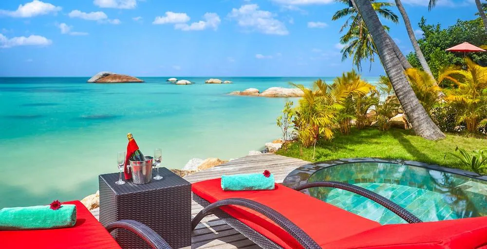 Kupu Kupu Phangan15