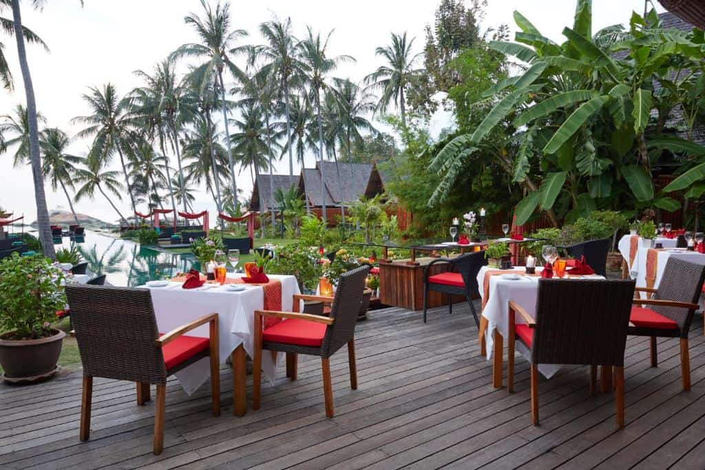 Kupu Kupu Phangan19
