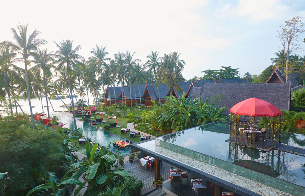 Kupu Kupu Phangan26
