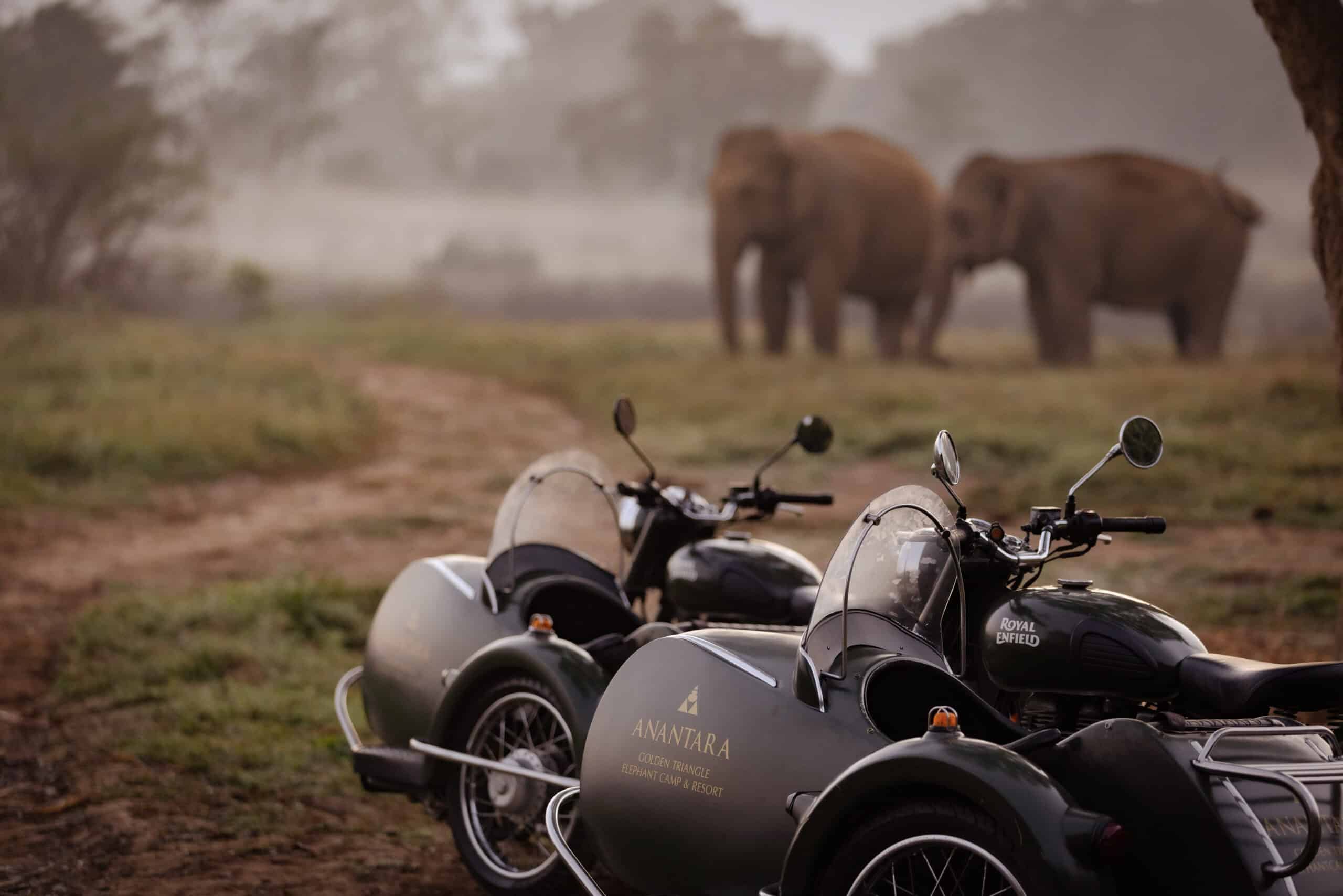 13-Anantara_Golden_Triangle_Walking_With_Giants_3108